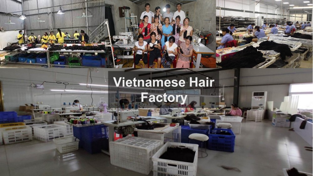 Vietnamese-hair-factory_14