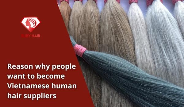 Reason-why-people-want-to-become-Vietnamese-human-hair-suppliers